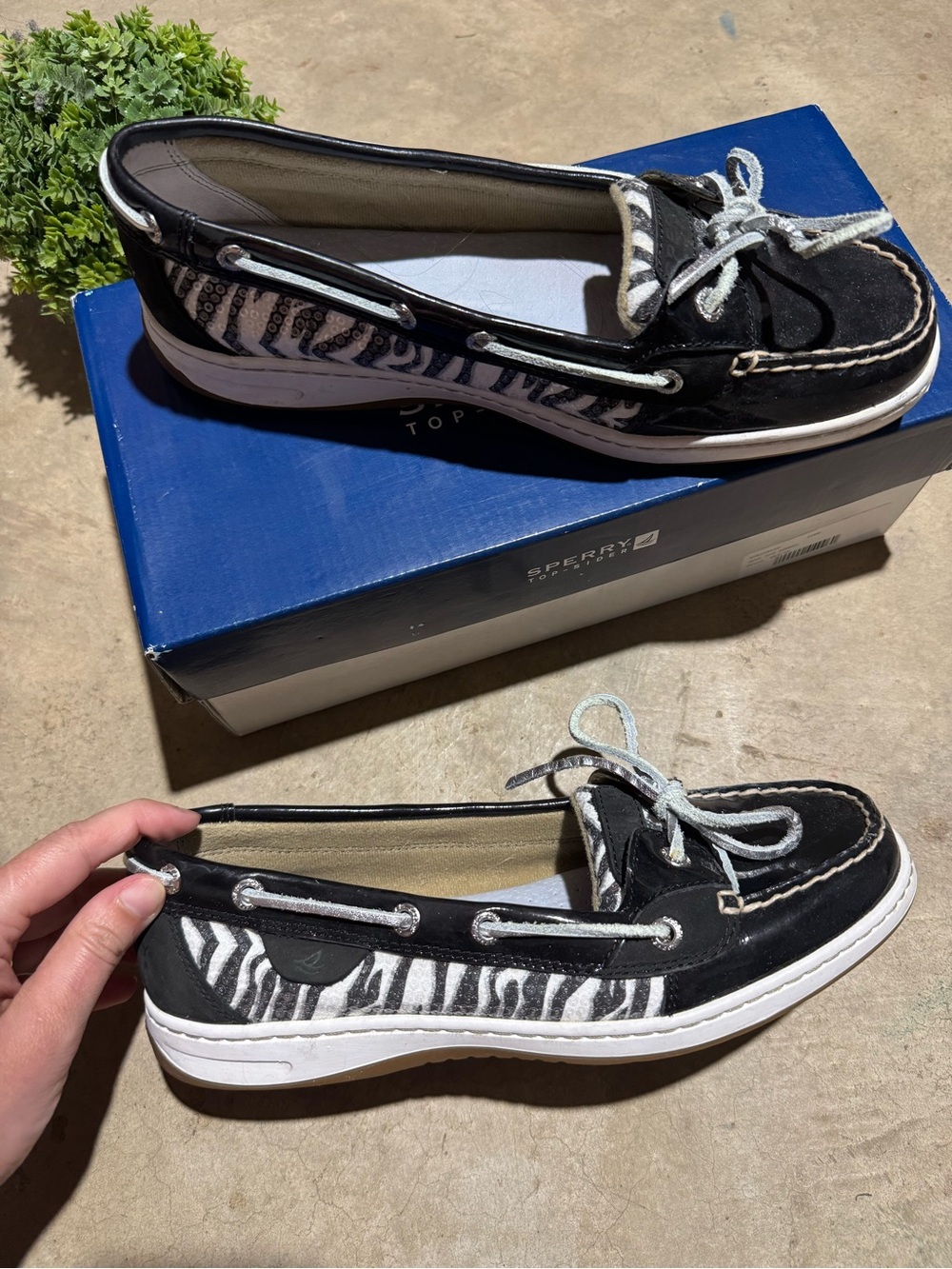 Sperry Boat Shoes Angelfish Black Zebra Sequin Women Size 9 Preppy Coastal